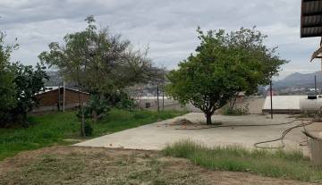 WhatsApp Image 2026-02-09 at 2.12.11 PM 3.jpeg